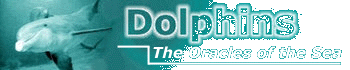 Dolphins: The Oracles of the Sea
