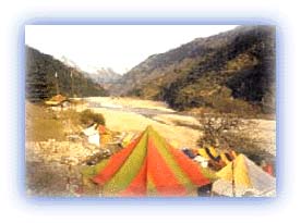 Tents at Harsil. Credit: Discover India