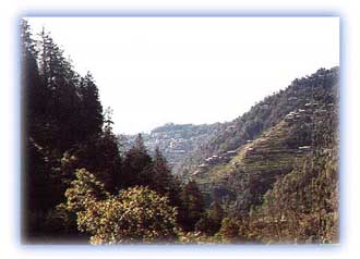 Green wooded hills in the lower mountain ranges in the Himalayas. Credit: Debangsu Sengupta