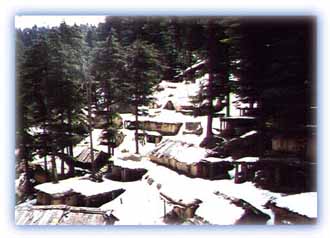 Snowed up huts in late March, Dalhousie. Credit: Debangsu Sengupta