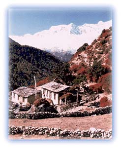 Traditional Sherpa houses near Pangboche. Credit: Scott Yost