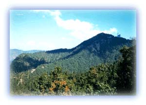 Green wooded hills surround Nainital. Credit: Yogesh Wadadekar