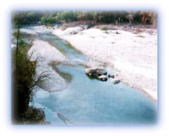 Ramganga flows by in the Corbett National Park. Credit: Yogesh Wadadekar