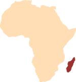 the African Islands