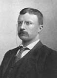 Theodore Roosevelt Portait