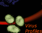 Virus Profiles