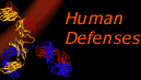 .Human Defenses