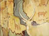 buck paintings.jpg (62517 bytes)