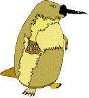 Platypus Logo