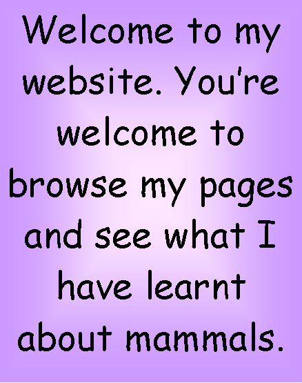 Text Box: Welcome to my website. Youre welcome to browse my pages and see what I have learnt about mammals.