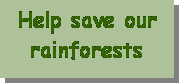 Text Box: Help save our rainforests