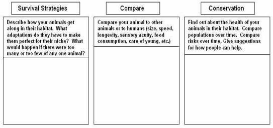 Web Site Storyboard