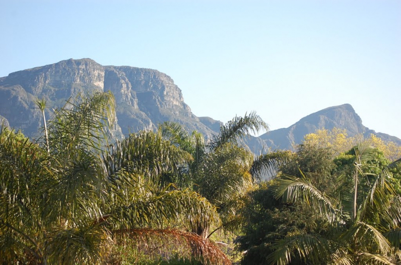 2010-conf-063
