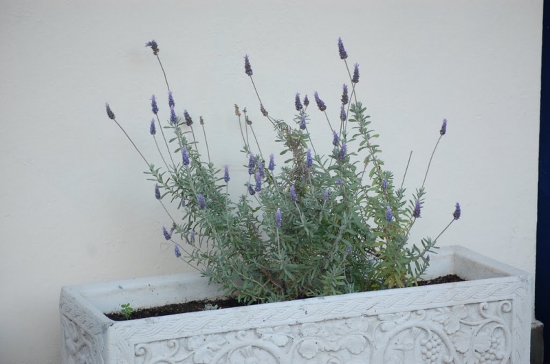2010-conf-171