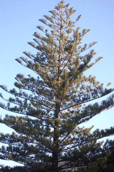 2010-conf-174