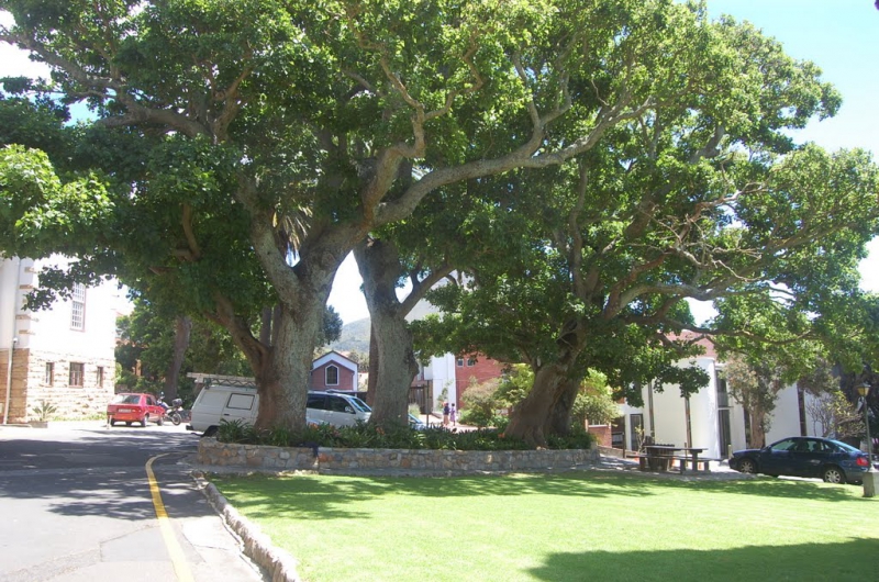 2010.10.Cape-Town-003