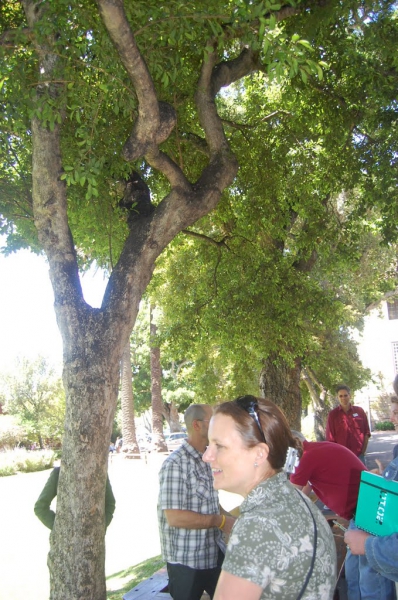 2010.10.Cape-Town-015