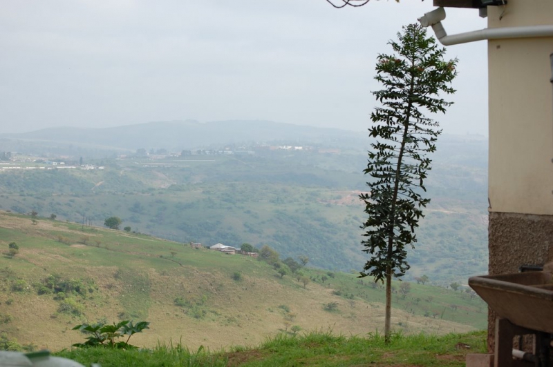 Albini-and-Buhlebemfundo-014