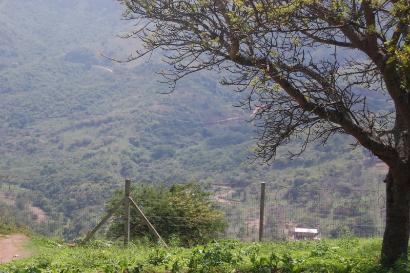 Albini-and-Buhlebemfundo-049