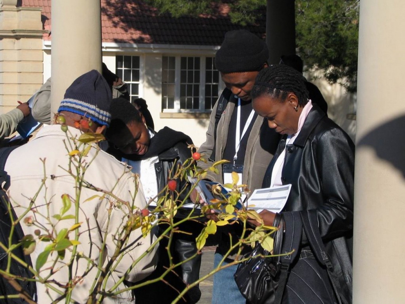 Bloem-079