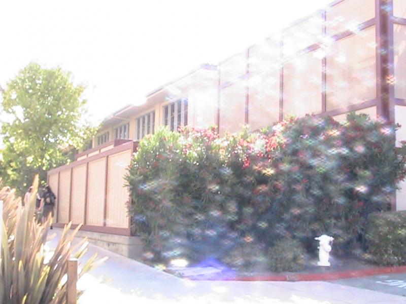 California-071