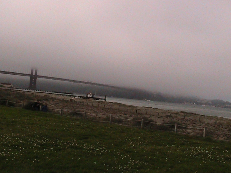 California-201