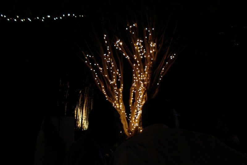 DSC038301