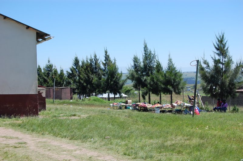 DSC_4465