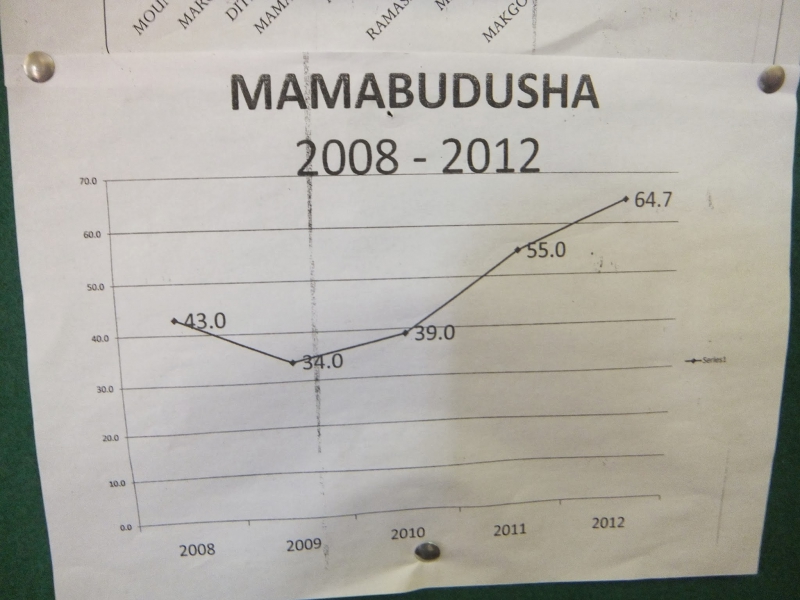 Mamabashuda-matric-results