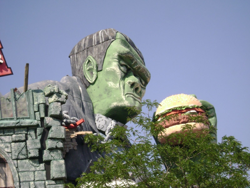 NiagaraFallsFrankenstienMeetsBurgerKing
