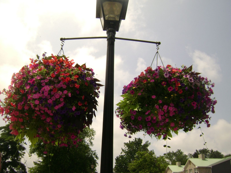 NiagaraOnLakeFlowerPots