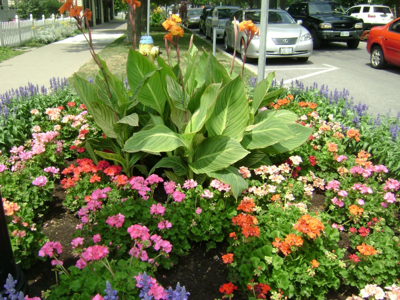NiagaraOnLakeGarden