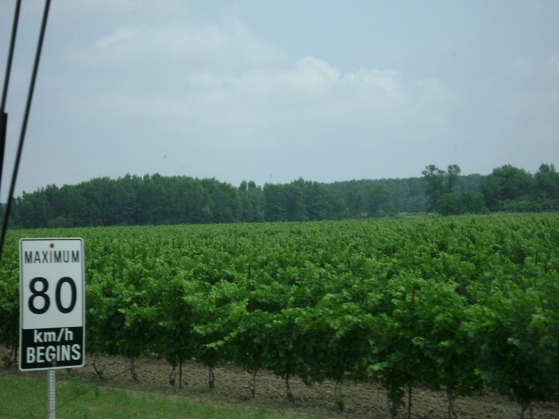 NiagaraOnLakeWinery